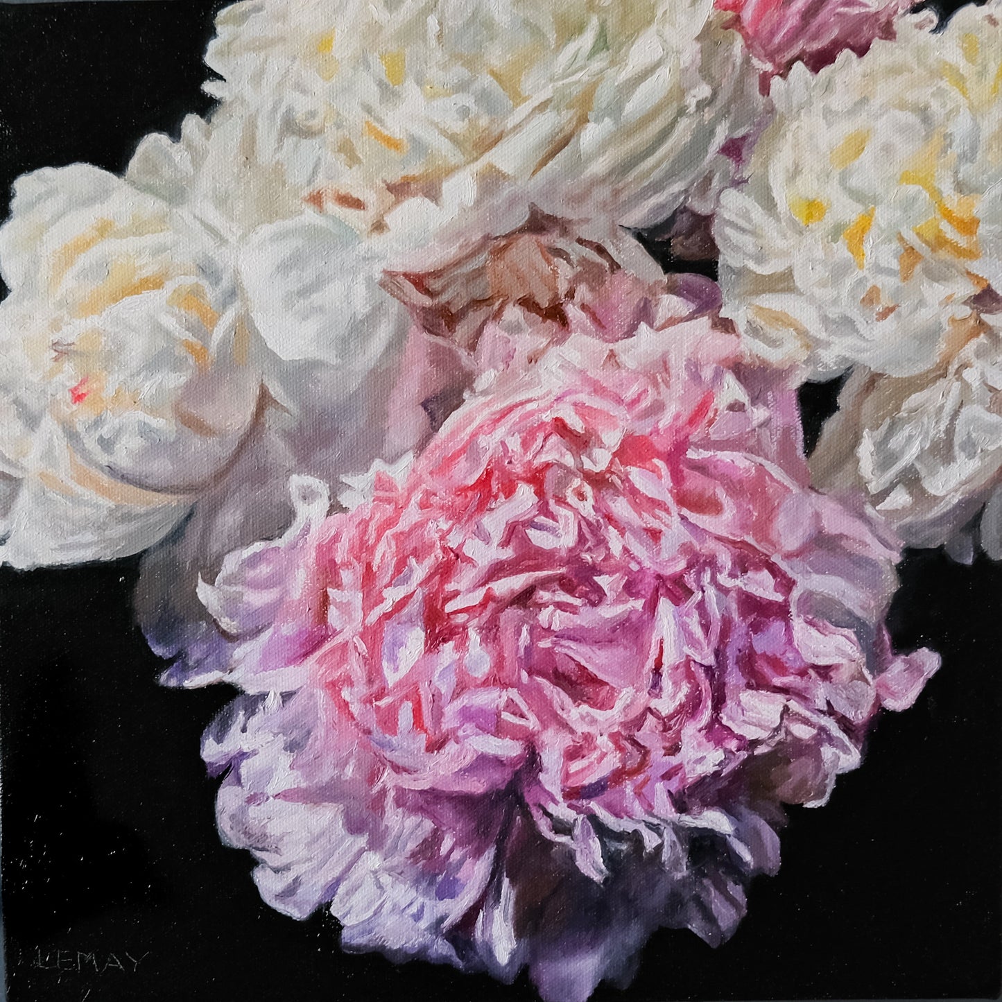 Peony Study 3 original Canadian art by Robert Lemay