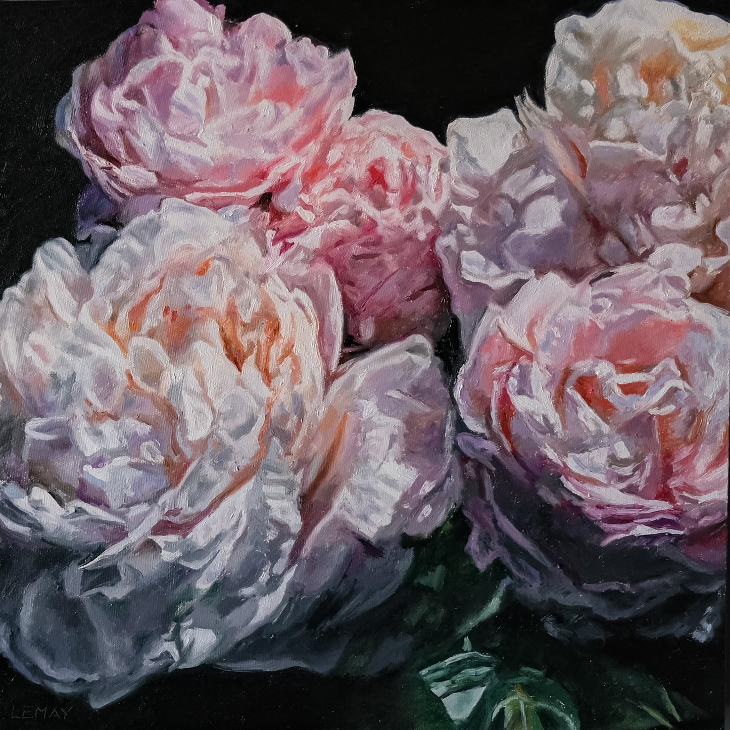 Peony Study 4 original Canadian art by Robert Lemay