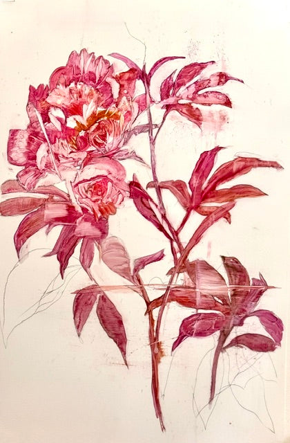Rose Peony original Canadian art by Madeleine Lamont