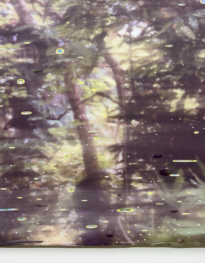 When the forest hums