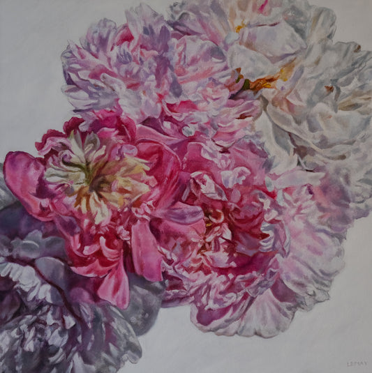 Summer Peonies