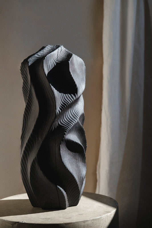 Shifting Form original Canadian art by Jackie Chapman