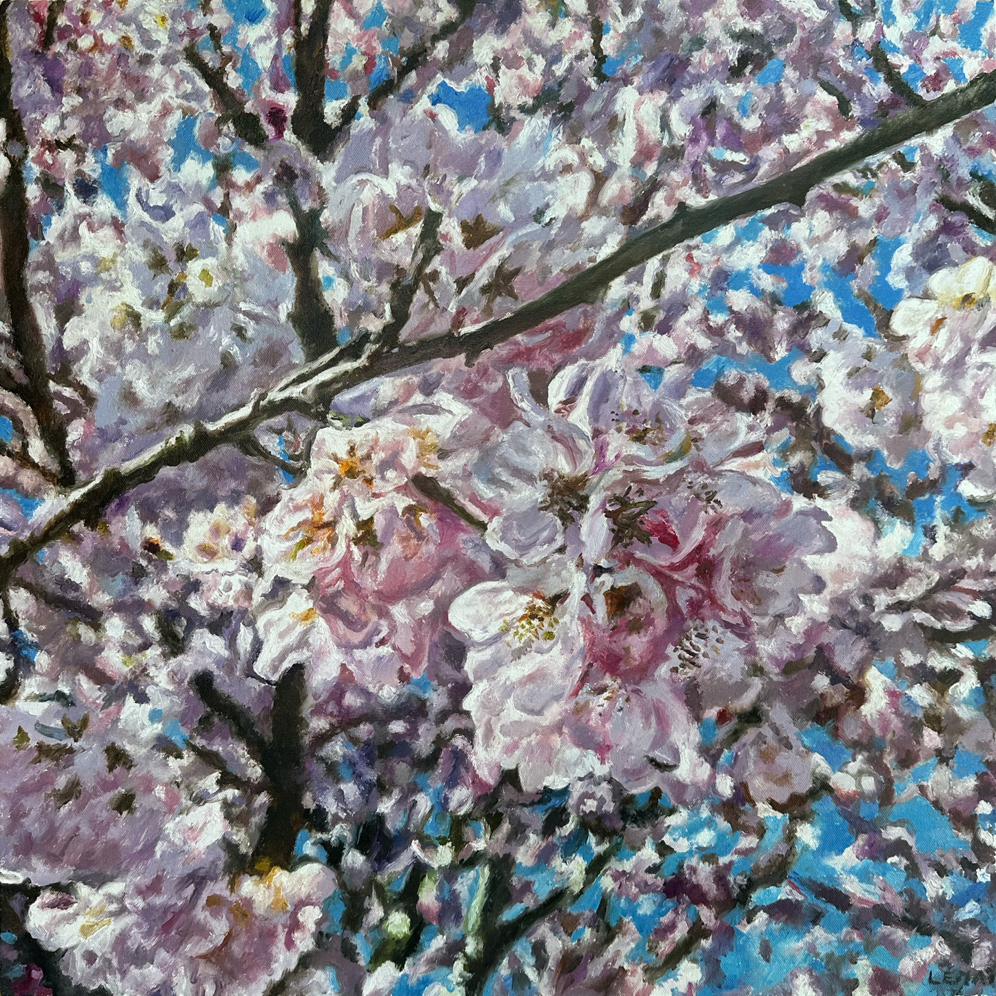 Cherry Blossom Study  original Canadian art by Robert Lemay