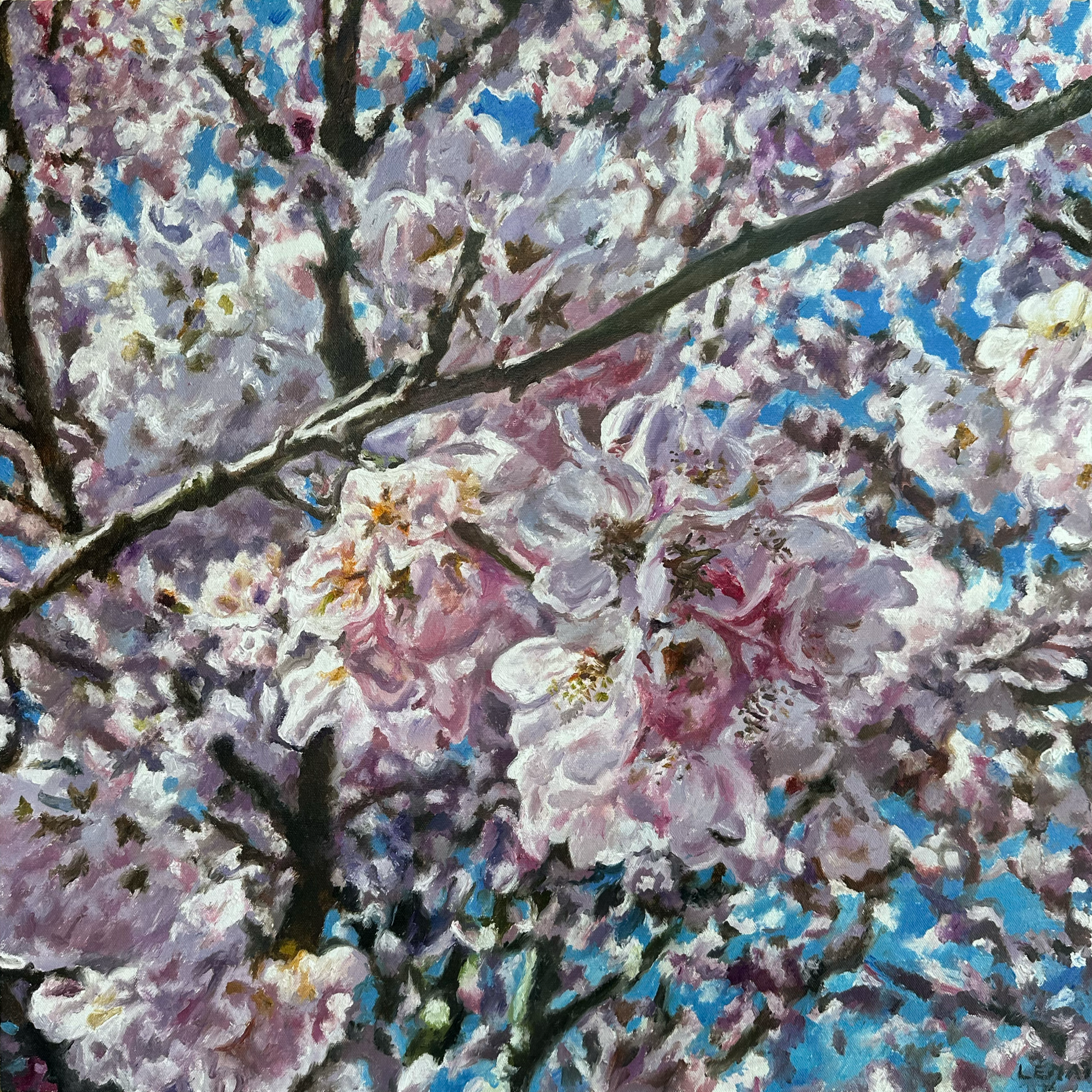 Cherry Blossom Study  original Canadian art by Robert Lemay