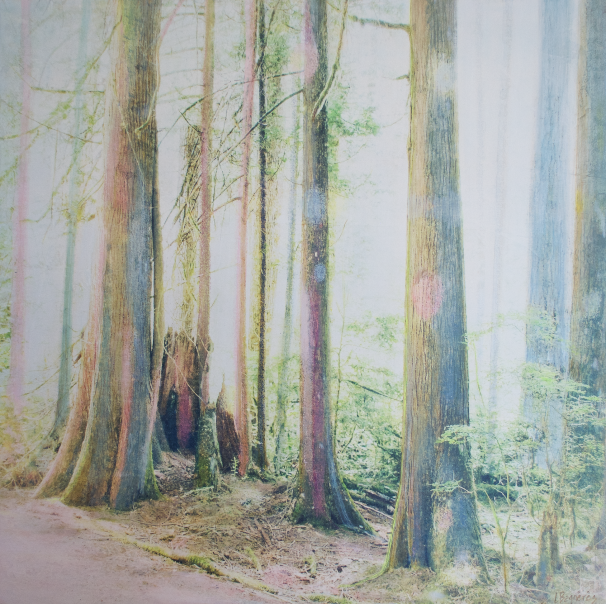 Light Moves original Canadian art by Lori Bagneres