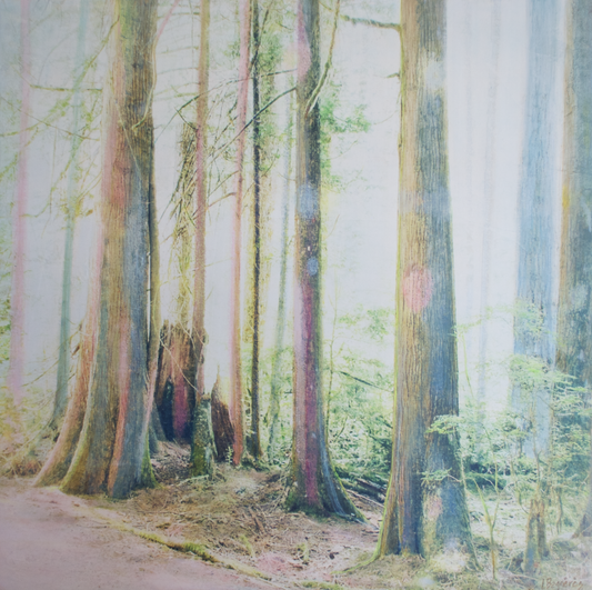 Light Moves original Canadian art by Lori Bagneres