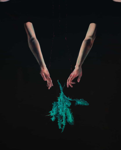 Lion’s Tooth original Canadian art by Katarina Holbrough