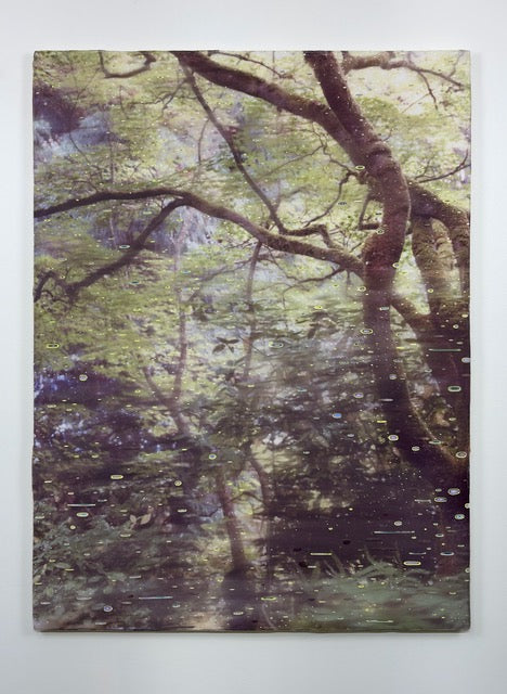 When the forest hums
