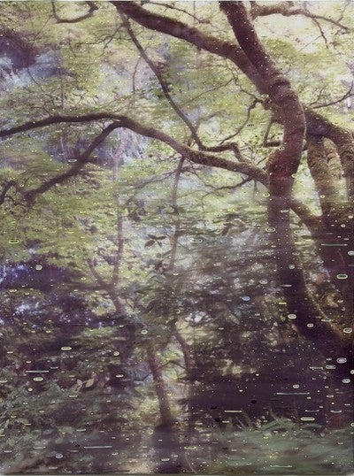 When the forest hums original Canadian art by Susanne Aaltonen