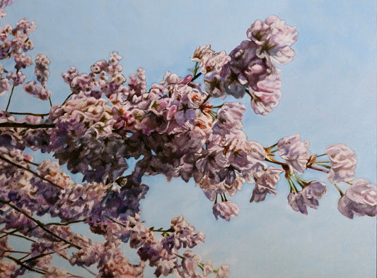 White Cherry Blossoms original Canadian art by Robert Lemay