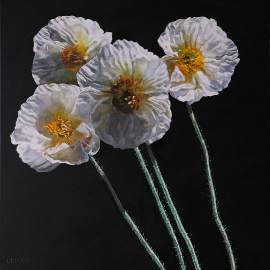 White Poppies original Canadian art by Robert Lemay