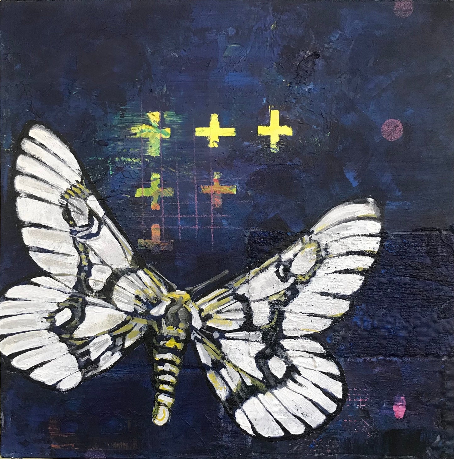Butterfly Moth original Canadian art by Mary Lottridge