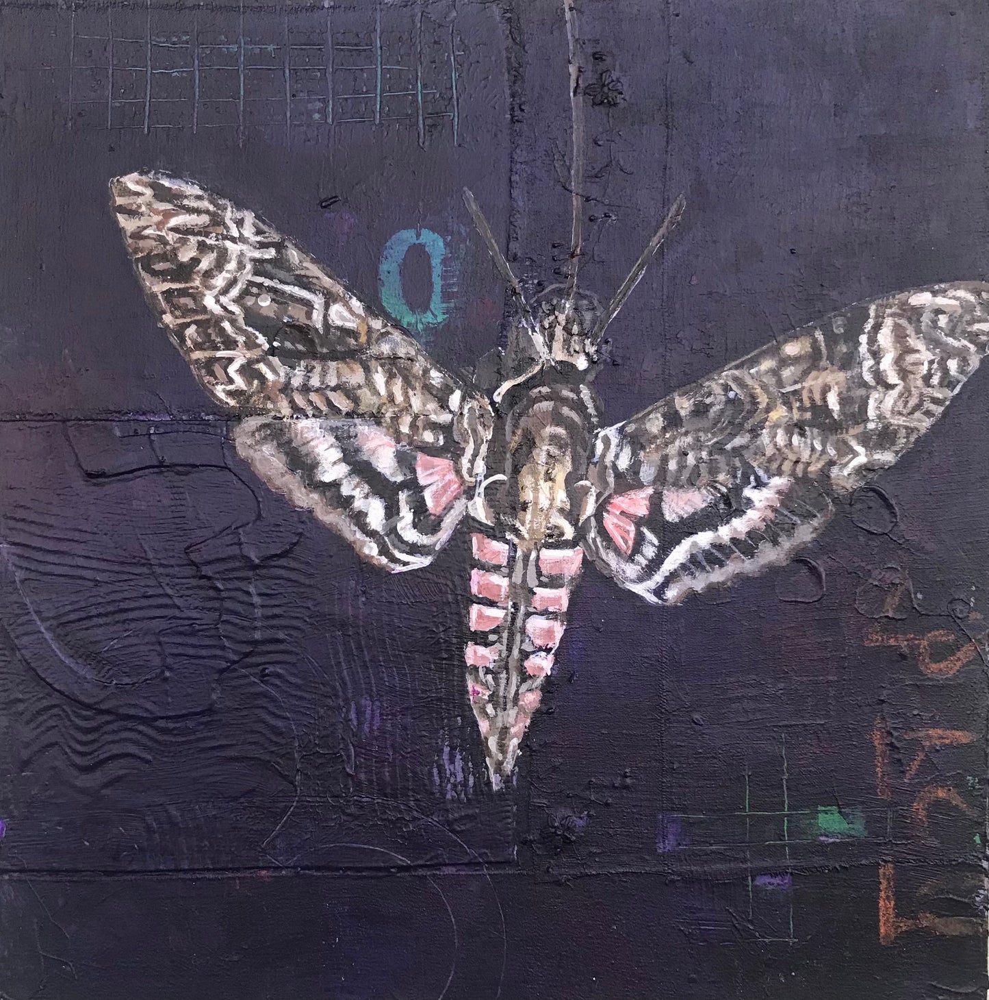 Moth 1 original Canadian art by Mary Lottridge