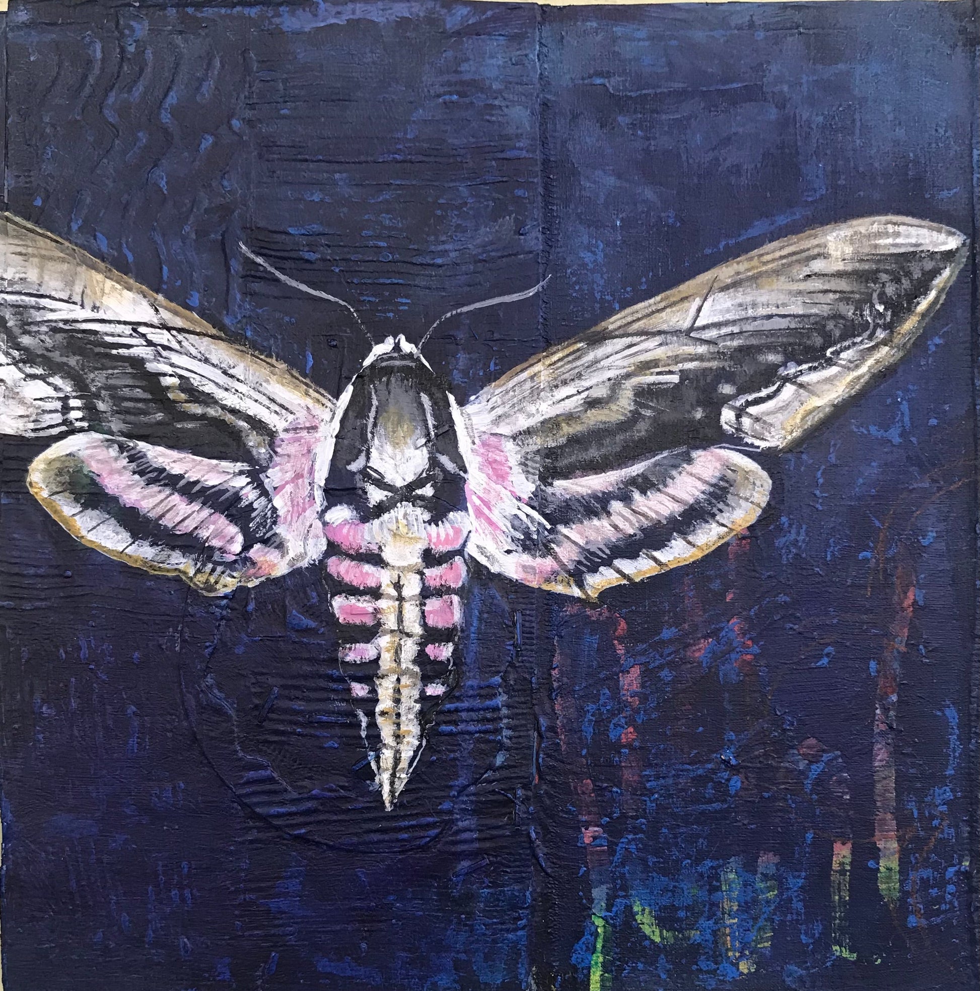 Moth 2 original Canadian art by Mary Lottridge