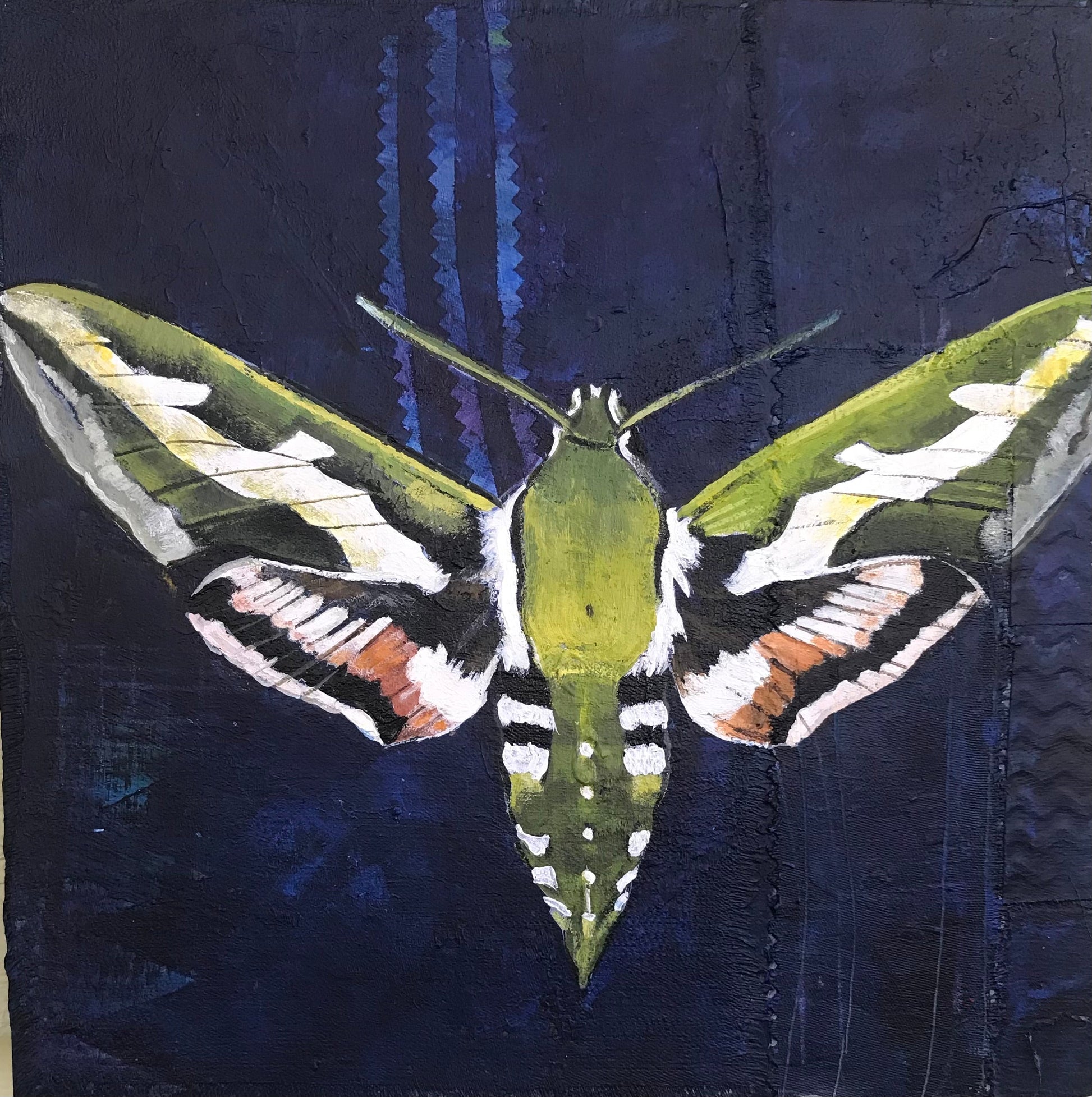 Moth 3 original Canadian art by Mary Lottridge