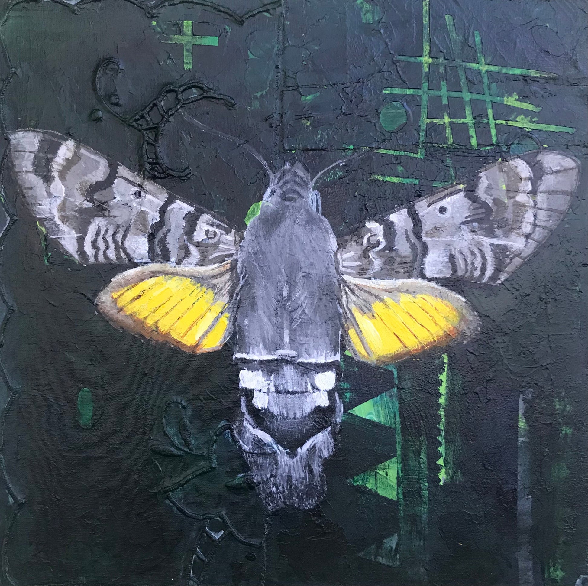 Moth 5 original Canadian art by Mary Lottridge